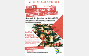 feu de sapins 2019