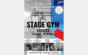 Stage découverte loisirs 