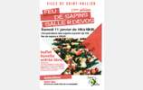 feu de sapins 2019